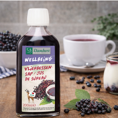 Damhert Wellbeing Elderberry syrup 200g
