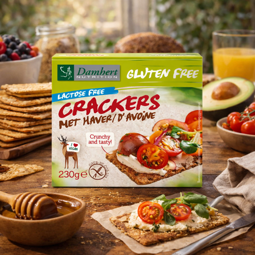 Damhert Gluten Free Crackers Oat Lactose free 230g